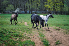 260418_Fruehjahrsboten-59___