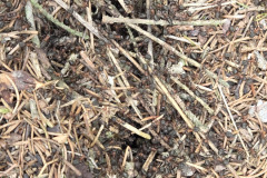 260418_Fruehjahrsboten-61