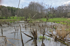 260418_Fruehjahrsboten-67