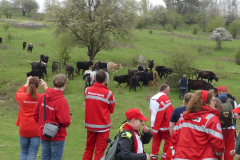 260418_Fruehjahrsboten-72