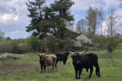 260418_Fruehjahrsboten-74