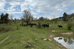 260418_Fruehjahrsboten-75