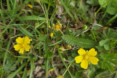 260418_Fruehjahrsboten-81