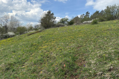 260418_Fruehjahrsboten-84