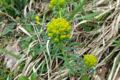 260418_Fruehjahrsboten-90