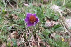 260418_Fruehjahrsboten-91