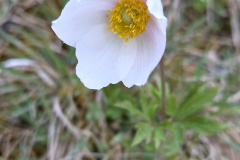 260418_Fruehjahrsboten-95