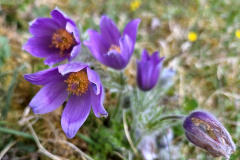 260418_Fruehjahrsboten-98