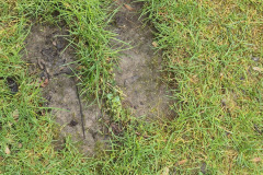 20260410_155106