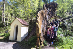 Felsen