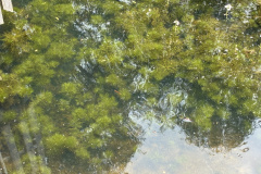 260518_GNU_AJPG-47