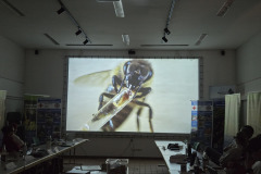 260517_GNU_AJPG-21