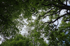 260517_GNU_AJPG-43