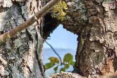IMG-20261003-WA0003