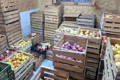 Obstlager