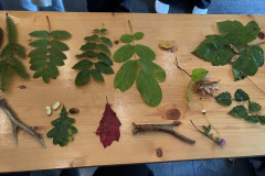 261010_KGNU_Tag-24
