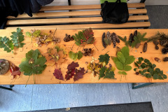 261010_KGNU_Tag-57