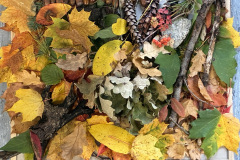 261010_KGNU_Tag-66