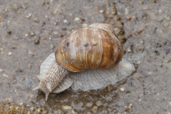 P1090599