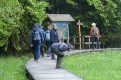 Sonntag-115