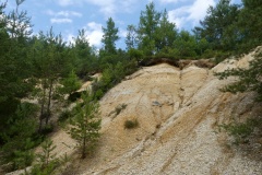 Forchenhuegel-23