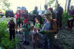 Naturstreife Waldlehrpfad