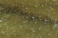 P1100936