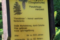 P1100966